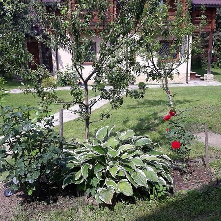 У Тарнавських Mykulychyn Exterior foto